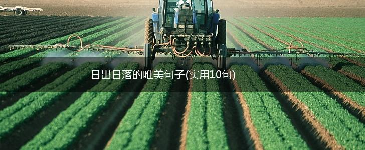 日出日落的唯美句子(实用10句),第1张