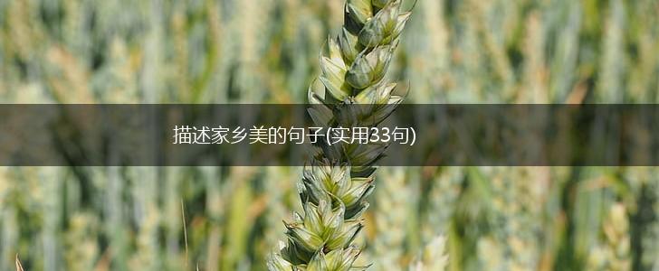 描述家乡美的句子(实用33句),第1张