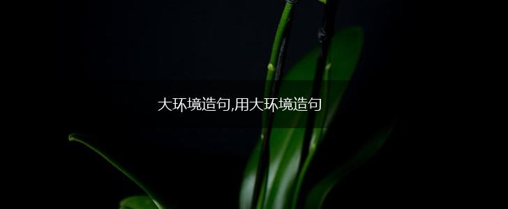 大环境造句,用大环境造句,第1张 大环境造句,用大环境造句,第1张