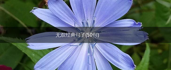 无双经典句子(50句),第1张