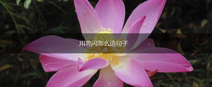 用亮闪怎么造句子,第1张