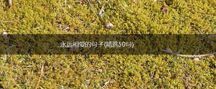 永远相爱的句子(精选50句),第1张