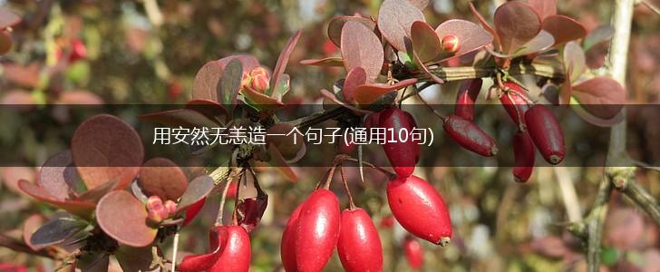 用安然无恙造一个句子(通用10句),第1张