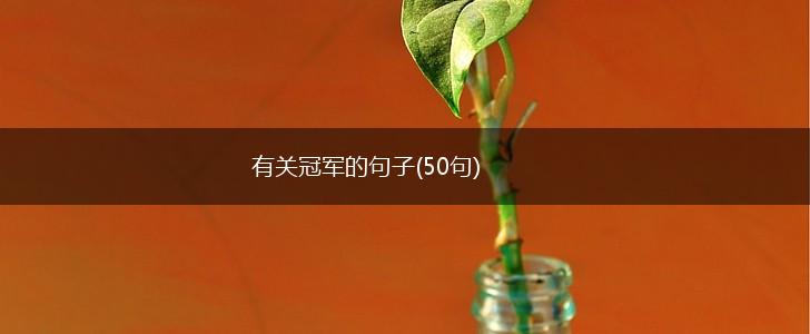 有关冠军的句子(50句),第1张