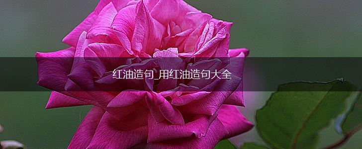 红油造句_用红油造句大全,第1张