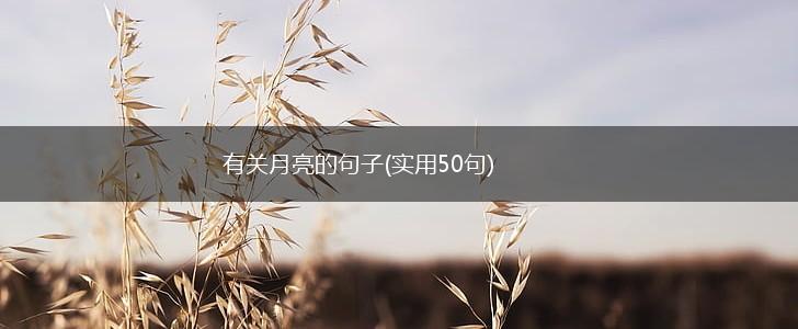 有关月亮的句子(实用50句),第1张