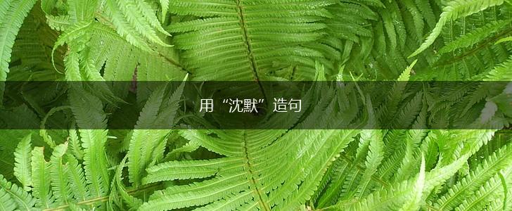 用“沈默”造句,第1张