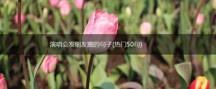 演唱会发朋友圈的句子(热门50句),第1张