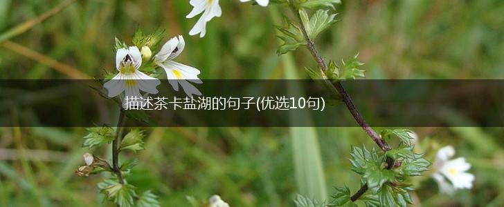 描述茶卡盐湖的句子(优选10句),第1张