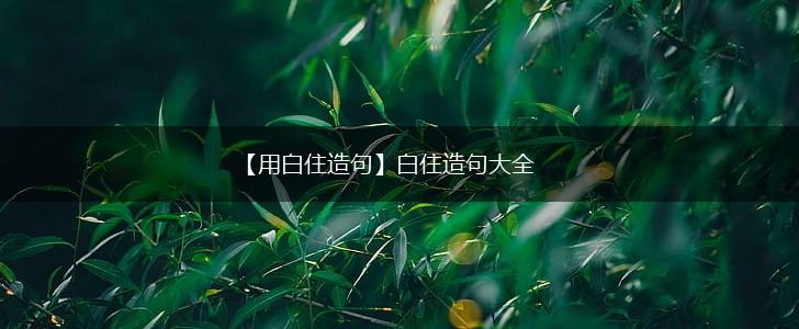 【用白住造句】白住造句大全,第1张