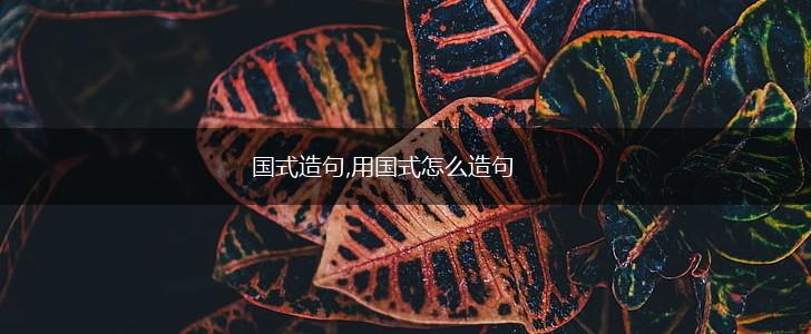 国式造句,用国式怎么造句,第1张 国式造句,用国式怎么造句,第1张