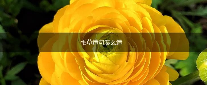 毛草造句怎么造,第1张