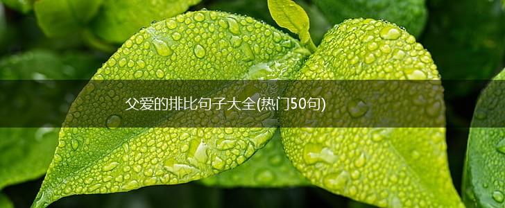 父爱的排比句子大全(热门50句),第1张