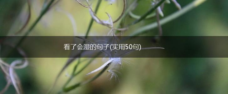 看了会湿的句子(实用50句),第1张