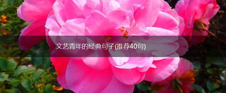 文艺青年的经典句子(推荐40句),第1张