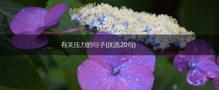 有关压力的句子(优选20句),第1张