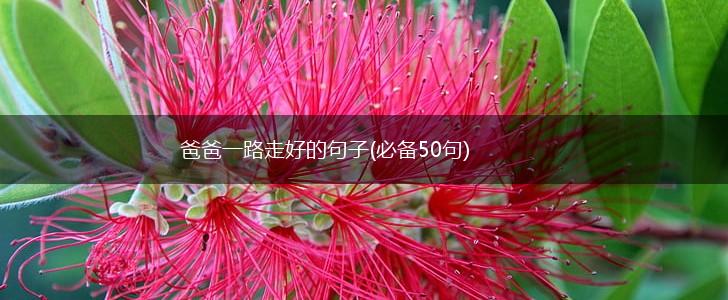 爸爸一路走好的句子(必备50句),第1张
