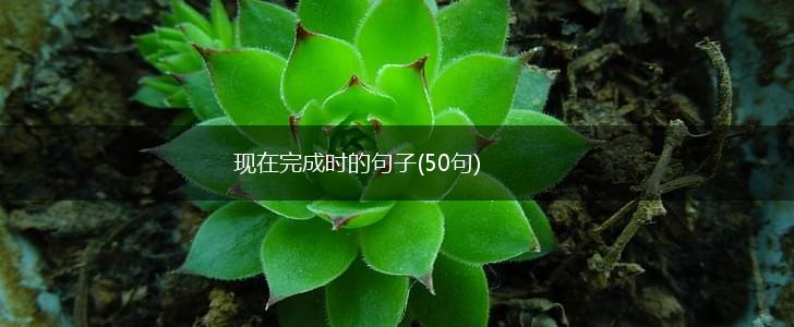现在完成时的句子(50句),第1张