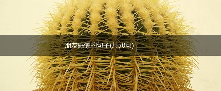 朋友感慨的句子(共50句),第1张
