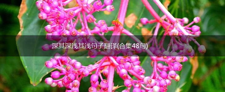 深其深浅其浅句子翻译(合集48句),第1张