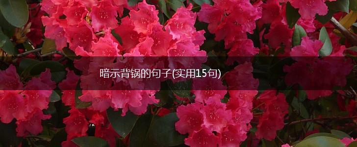 暗示背锅的句子(实用15句),第1张