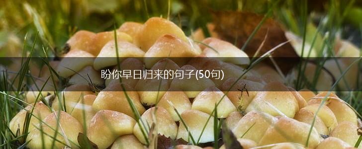 盼你早日归来的句子(50句),第1张