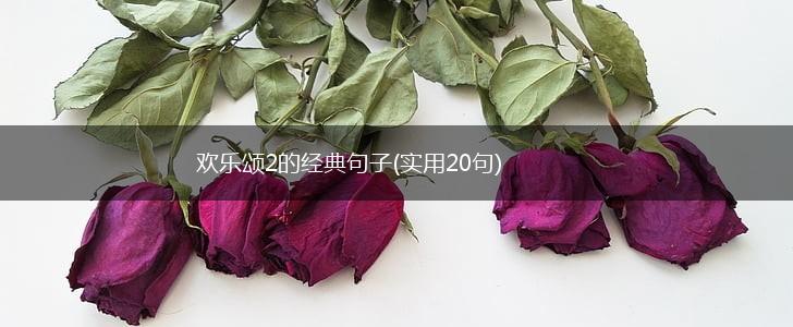 欢乐颂2的经典句子(实用20句),第1张