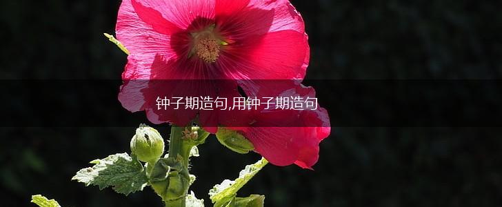 钟子期造句,用钟子期造句,第1张 钟子期造句,用钟子期造句,第1张