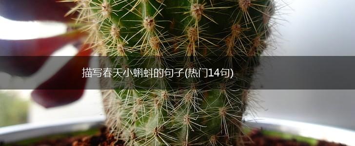 描写春天小蝌蚪的句子(热门14句),第1张
