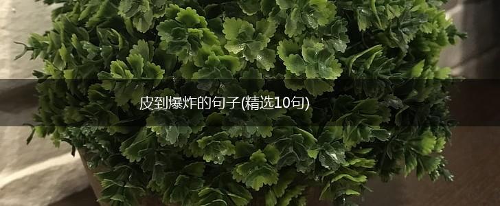 皮到爆炸的句子(精选10句),第1张