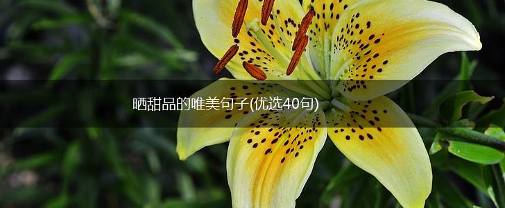 晒甜品的唯美句子(优选40句),第1张
