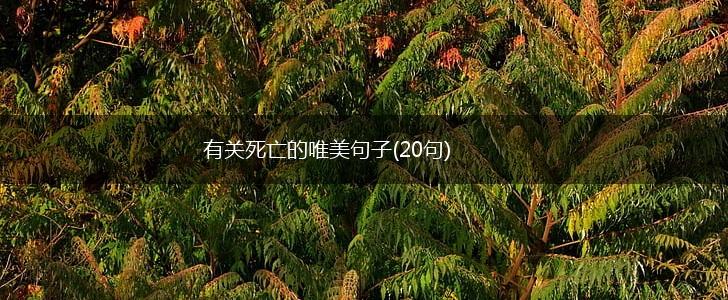 有关死亡的唯美句子(20句),第1张