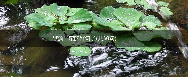歌颂闺蜜的好句子(共50句),第1张