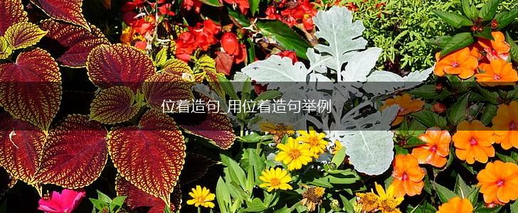 位着造句_用位着造句举例,第1张 位着造句_用位着造句举例,第1张
