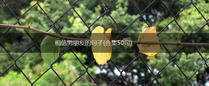 相信男朋友的句子(合集50句),第1张