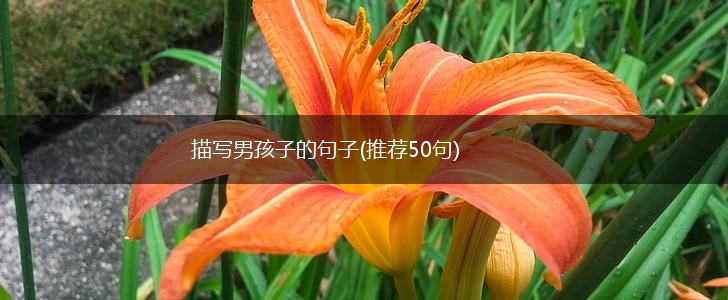 描写男孩子的句子(推荐50句),第1张
