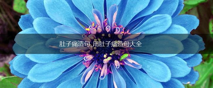 肚子痛造句_用肚子痛造句大全,第1张 肚子痛造句_用肚子痛造句大全,第1张