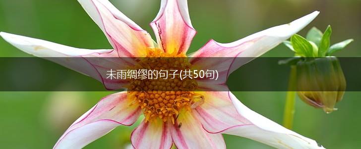 未雨绸缪的句子(共50句),第1张