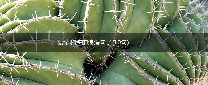 爱情和海的浪漫句子(10句),第1张