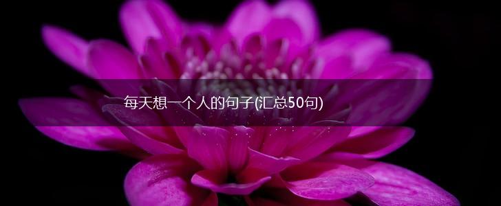 每天想一个人的句子(汇总50句),第1张
