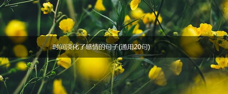 时间淡化了感情的句子(通用20句),第1张