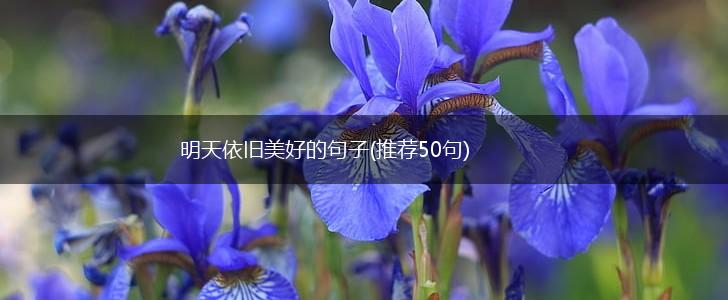明天依旧美好的句子(推荐50句),第1张
