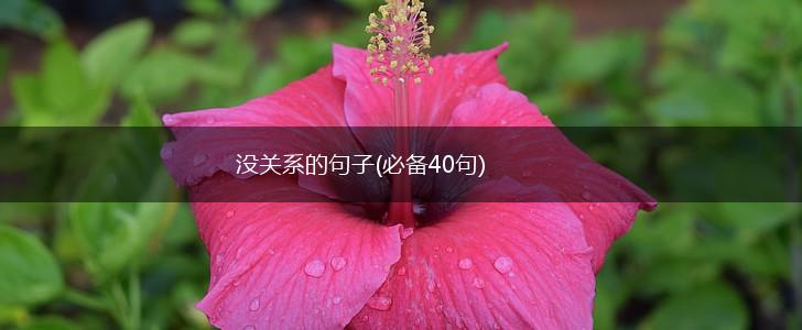 没关系的句子(必备40句),第1张