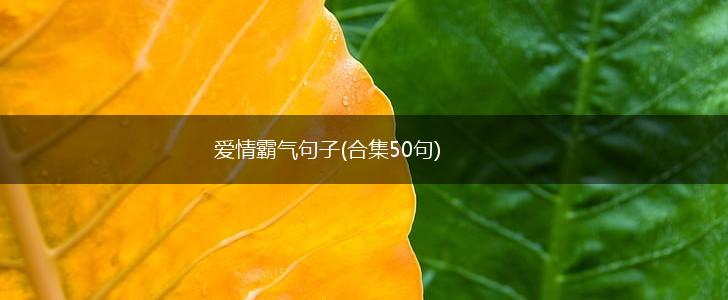 爱情霸气句子(合集50句),第1张