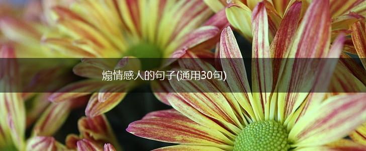 煽情感人的句子(通用30句),第1张