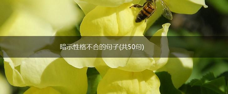 暗示性格不合的句子(共50句),第1张