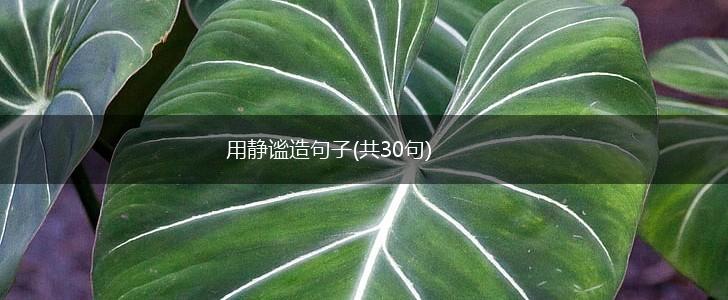 用静谧造句子(共30句),第1张