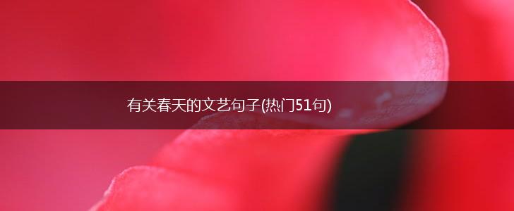 有关春天的文艺句子(热门51句),第1张