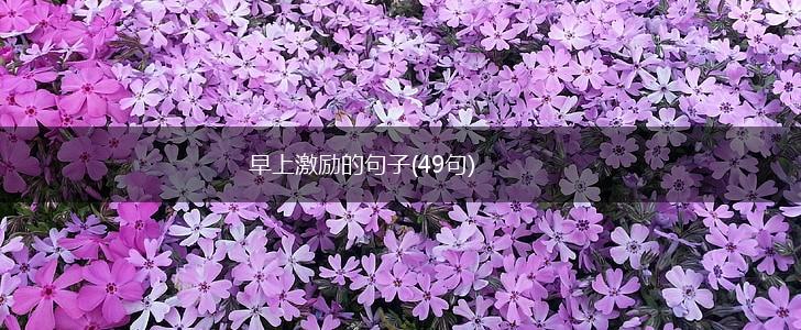 早上激励的句子(49句),第1张