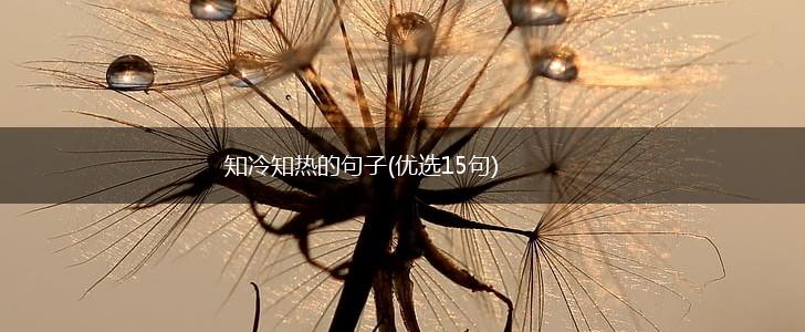 知冷知热的句子(优选15句),第1张